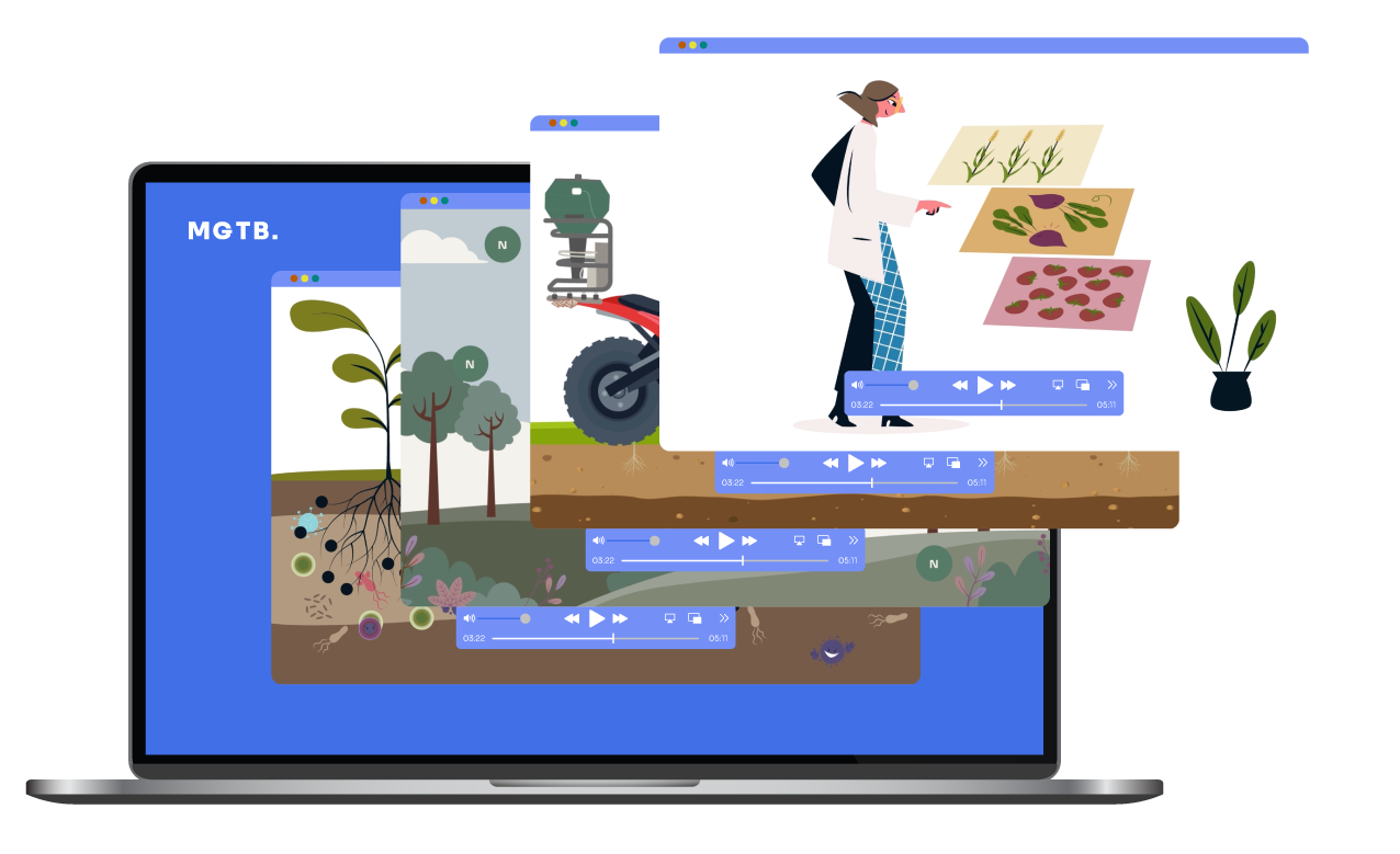 visuel-bibliotheque_02