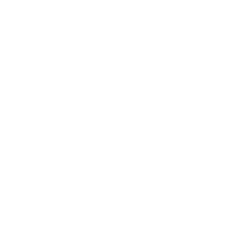 Projets-logo_PAHP-blanc